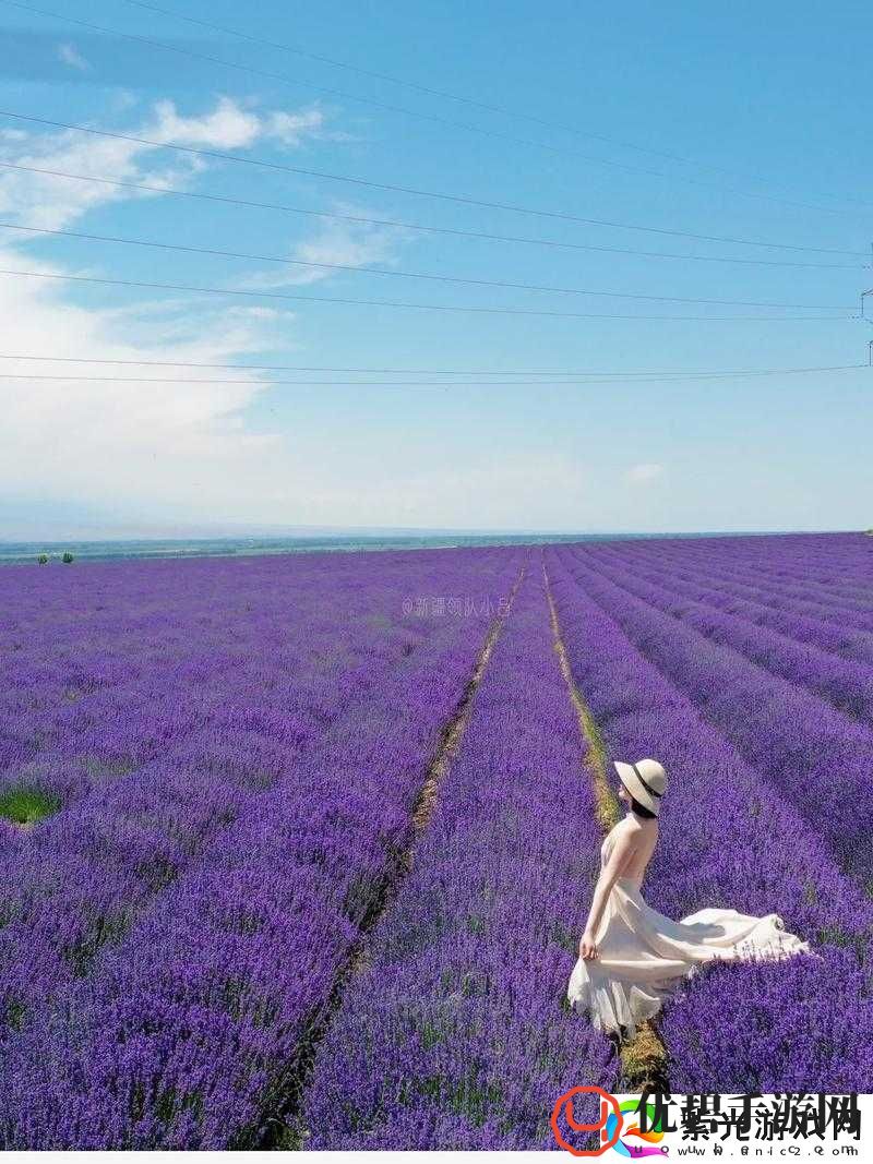 薰衣草研究所站入口