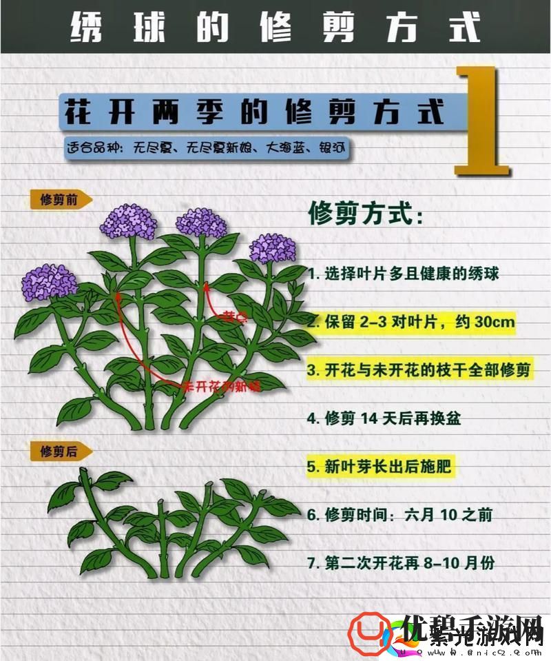 花园之间怎么修剪花草