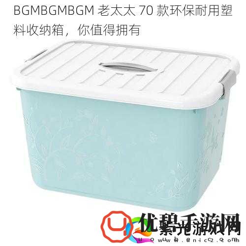 BGMBGMBGM老太太70款环保耐用塑料收纳箱你值得拥有