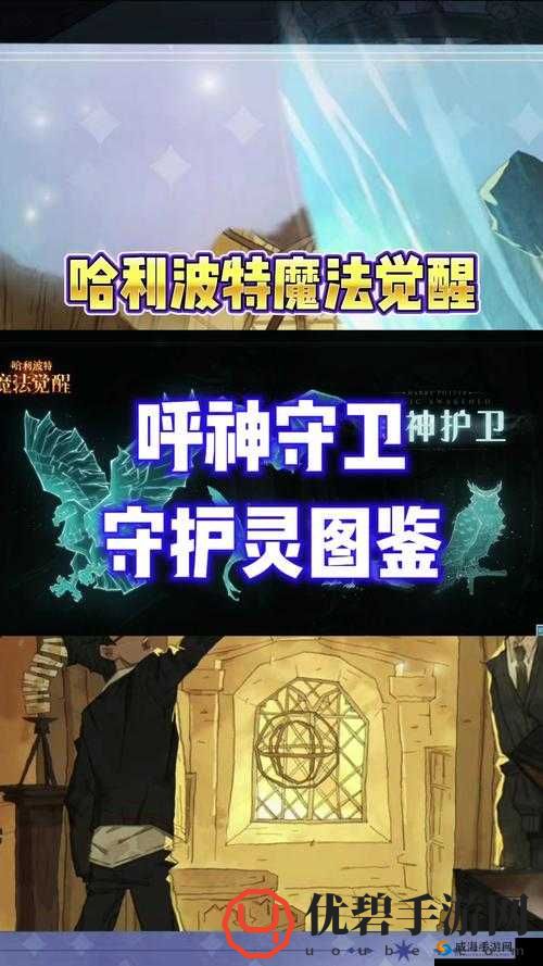 哈利波特魔法觉醒呼神护卫第章攻略秘籍：战斗策略与技巧全解析