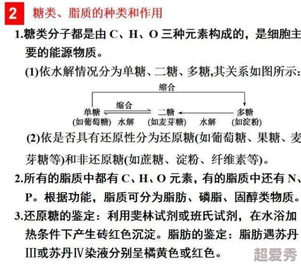 体内精69XXXXXx白：新研究揭示其在生物医学领域的潜在应用与影响进展