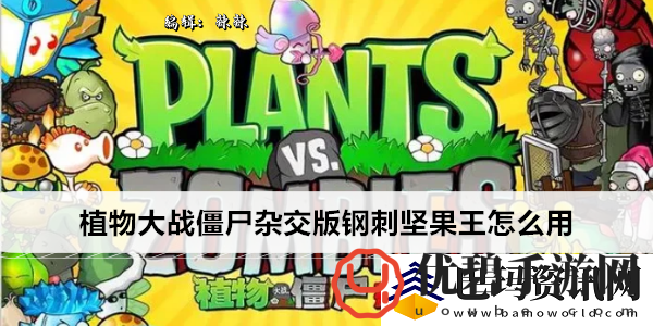 植物大战僵尸杂交版钢刺坚果王怎么用