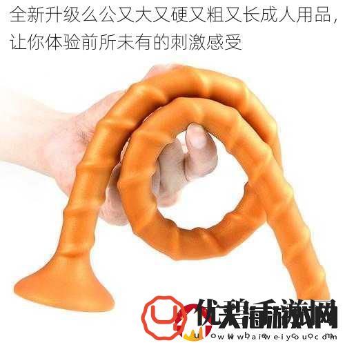 全新升级么公又大又硬又粗又长成人用品