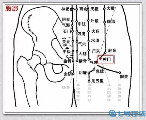 九阴真经外功怎么开经脉