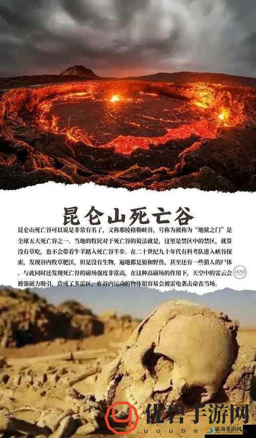 揭秘无人区一码卡二卡三乱码背后的真相玩法秘籍