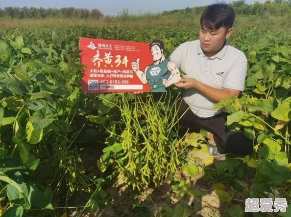 三角洲超算芯片有啥用？最新进展揭示其在人工智能和大数据处理中的重要应用潜力