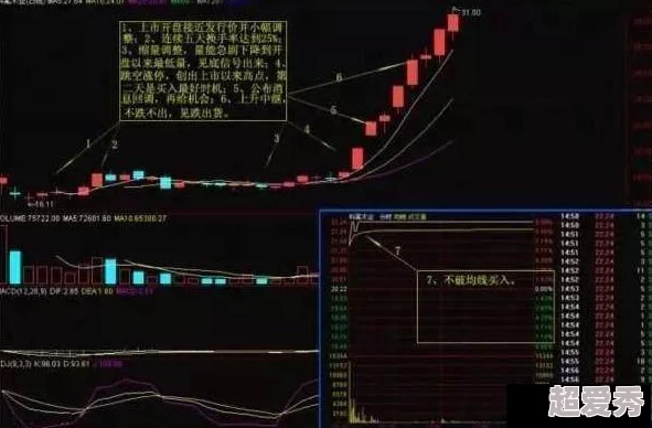 皮丘进化全解析：条件、过程及最终形态详解，助你轻松掌握进化秘诀