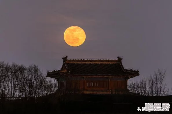 咏月风雅：游戏玩家必备黑话大全，解锁古风月色下的雅致交流秘籍