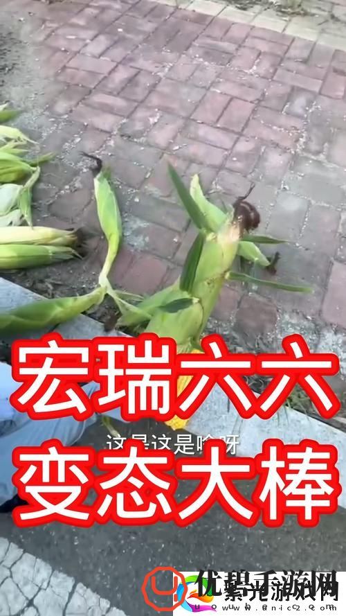 大肉奉子一进一出：觅食的冒险与唾液的舞蹈