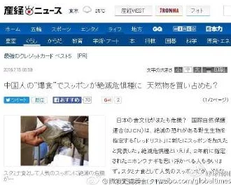 日本虐乳在线观看：最新动态与相关讨论引发热议，网友们纷纷发表看法与感受