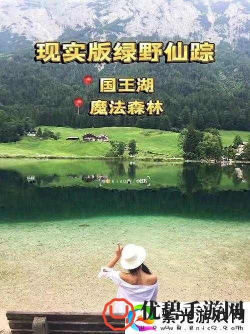 仙踪林主页站-带你领略奇妙的森林世界之旅