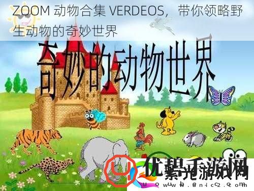 ZOOM动物合集VERDEOS带你领略野生动物的奇妙世界