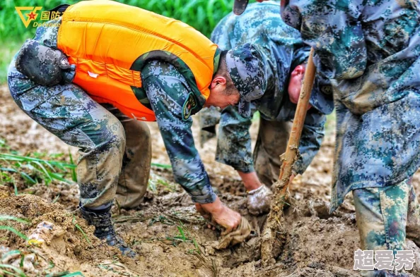 DNF游戏中训练木桩任务具体是哪个？详细攻略解析