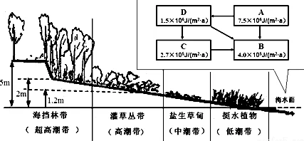 cf残端：解析残余链端特性及其在材料科学和工程中的应用与影响分析