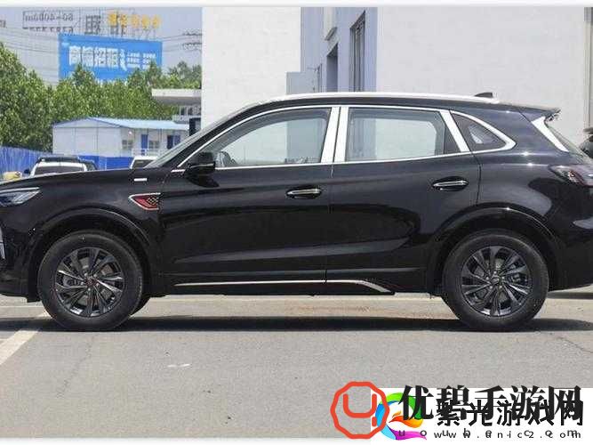 国产-SUV-精品一区二区-6-有什么特点：深度剖析其独特魅力所在