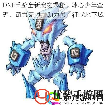 DNF手游全新宠物揭秘